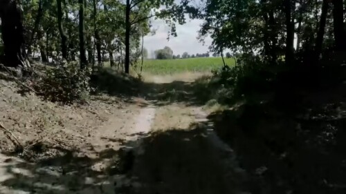 gargas-17.jpg